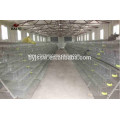 Garantia de comércio A &amp; H Type Quail Layer Cage Wholesale